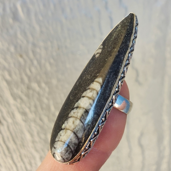 New Oversized Orthoceras Fossil 925 Silver Statement Ring. - Picture 11 of 16